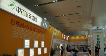 匠心筑展，茶韵飘香 福州展览搭建工厂的一站式专业服务